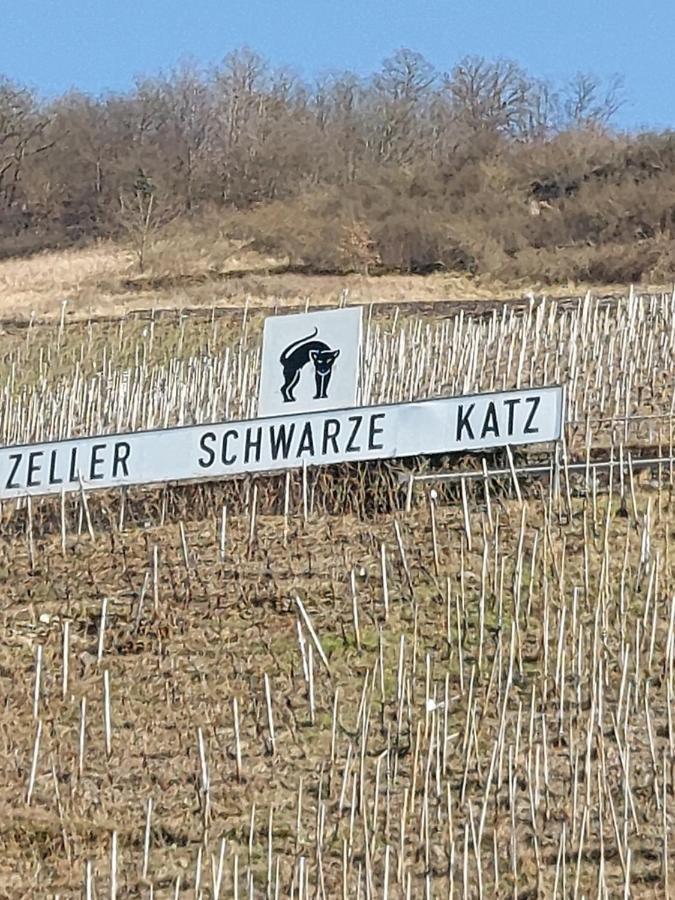 Fewo Siemens Mosel Zell an der Mosel Zewnętrze zdjęcie